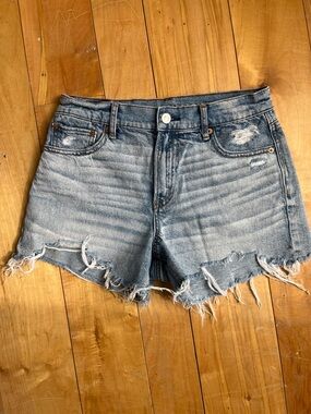 American Eagle Outfitters Distressed Light Blue Denim Cutoff Shorts